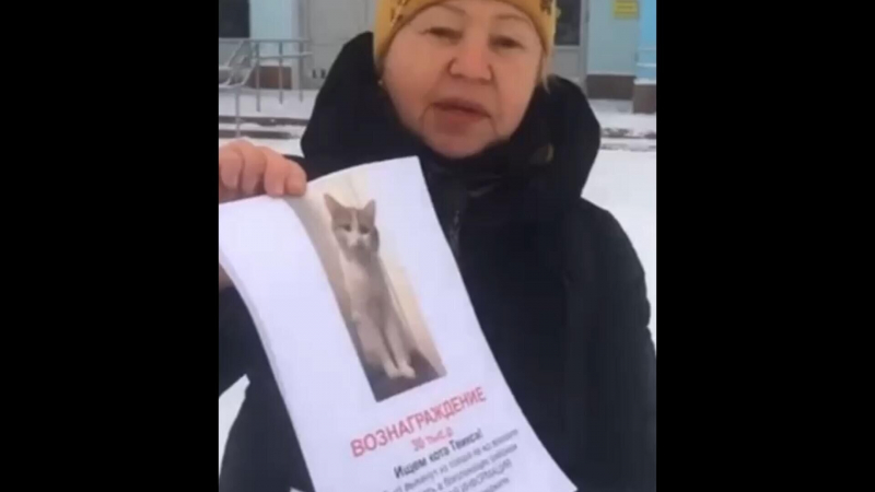 Калининградский кот Сергей открыл свою страничку "ВКонтакте"