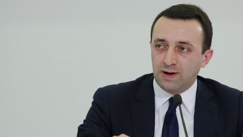 Гарибашвили исключил создание оппозиционной партии