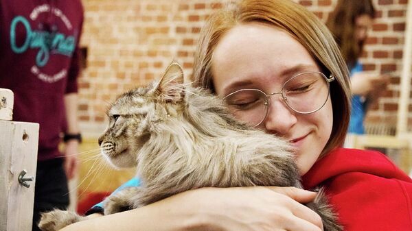 Выставка-пристройство бездомных щенят и кошек пройдет в Москве