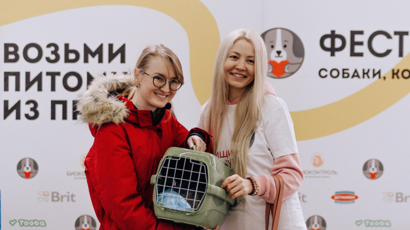 Благотворительный фестиваль-пристройство собак и кошек пройдет в Москве